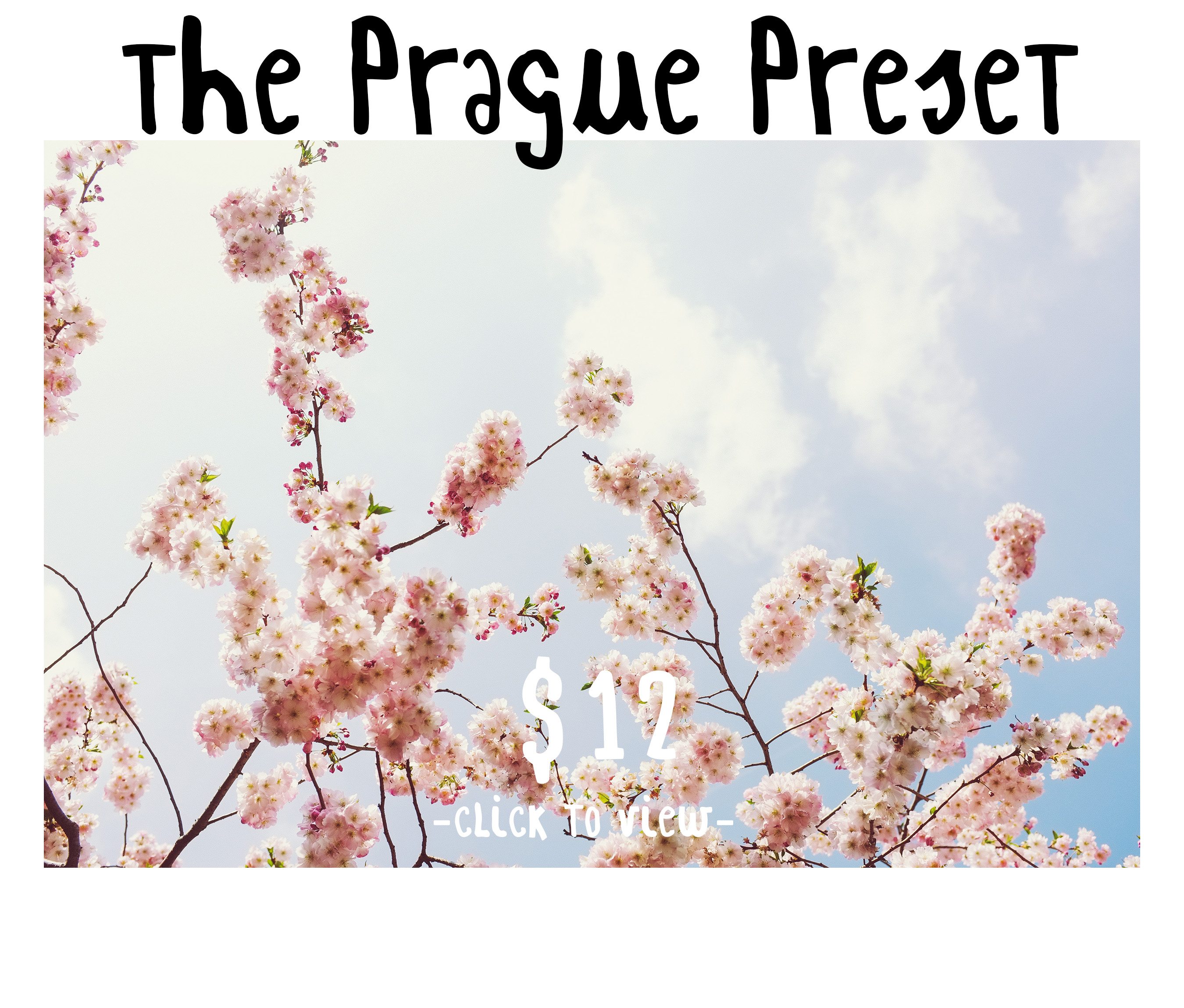 Prague Preset